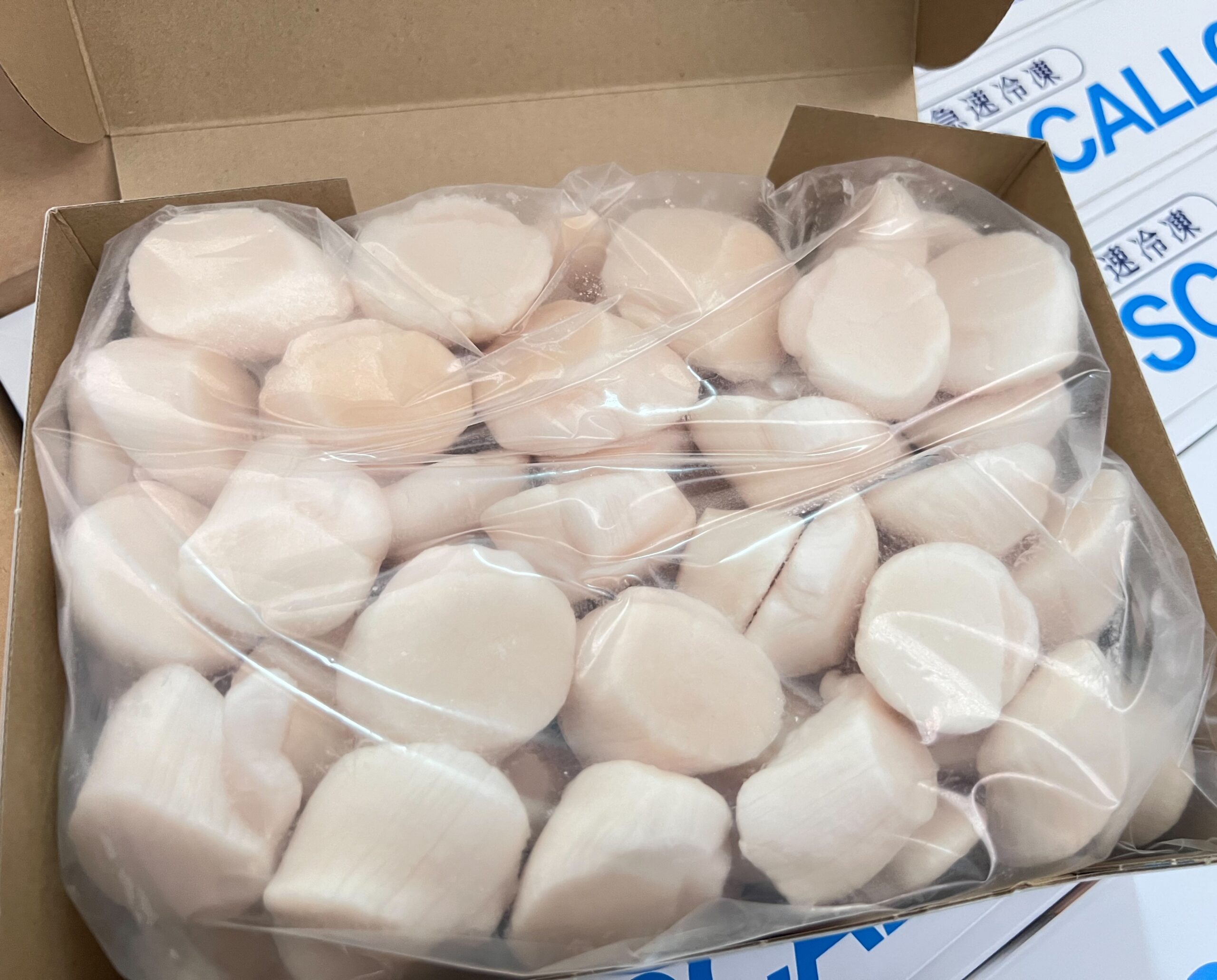 北海道生食級干貝-5S(1kg):圖片 2