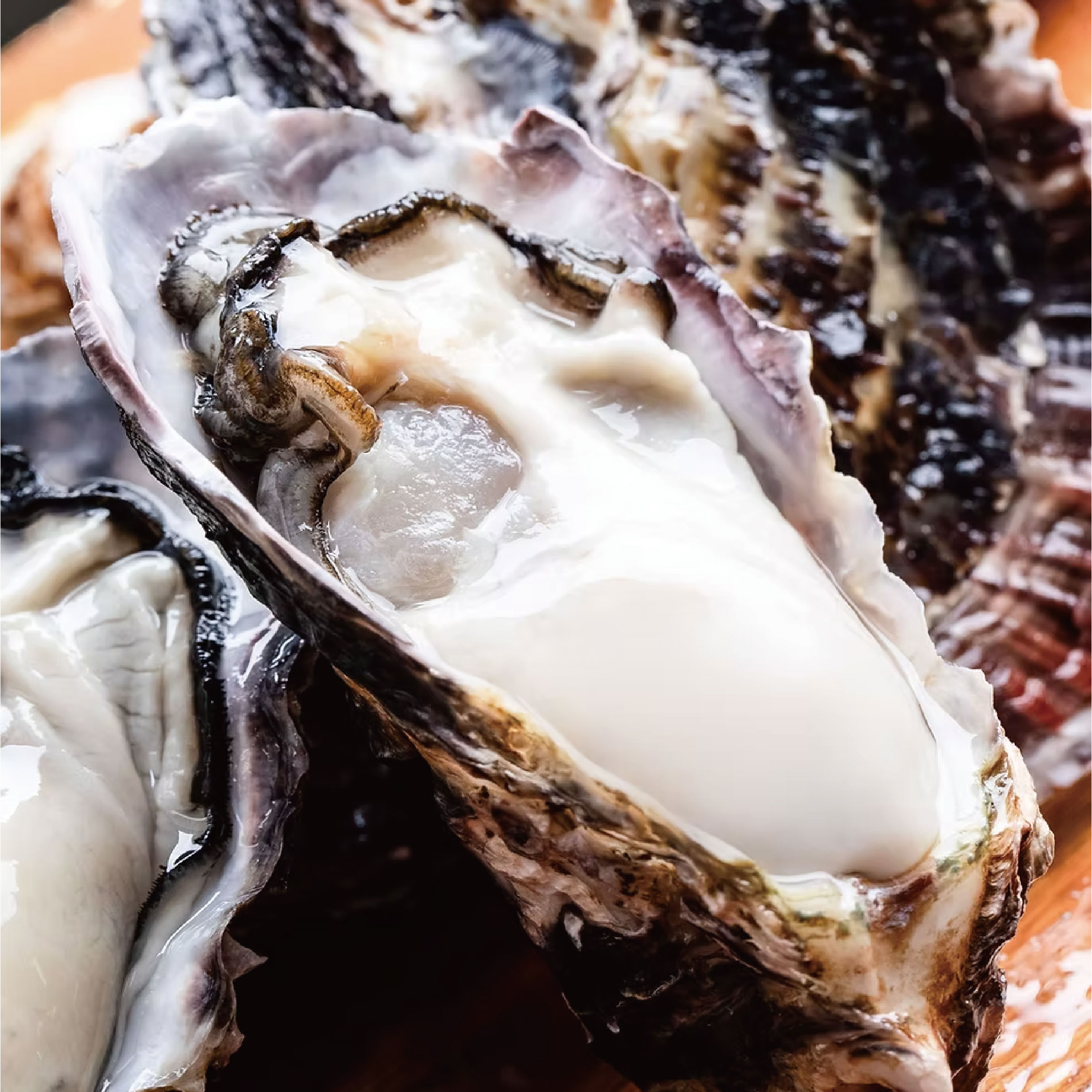 生蠔-日本生蠔-生食級-海鮮-海鮮料理-燒烤必備-牡蠣-日本海鮮-食譜-教學-高級海鮮-多件優惠-促銷優惠-車旺牌-鈺贊坊