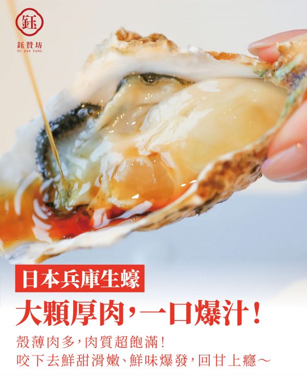 【多件優惠】日本生食級🦪全殼生蠔6顆(小包裝) -5包組：圖片 3