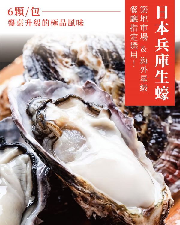 【多件優惠】日本生食級🦪全殼生蠔6顆(小包裝) -5包組：圖片 2